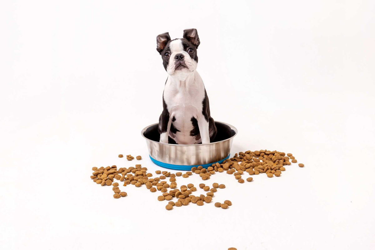 Feeding Essentials